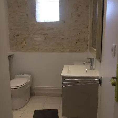 Le Logis Du Plessis 3* Chaniers