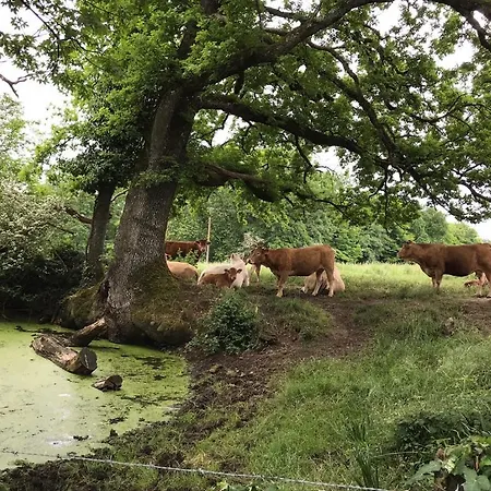 Alojamento de Acomodação e Pequeno-almoço Le Logis Du Plessis